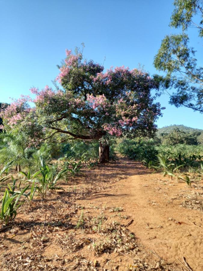 Chale Veredas E Buritis Pirenópolis Exterior foto