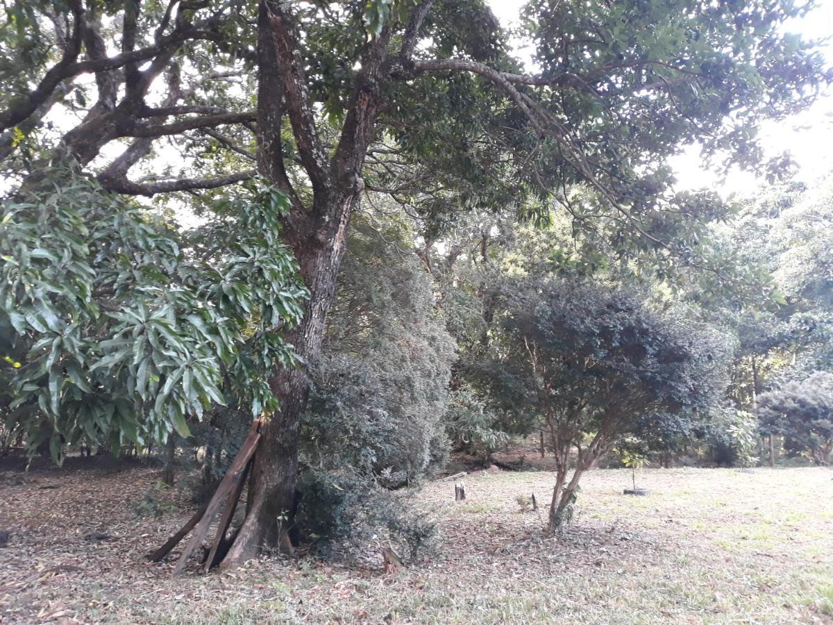 Chale Veredas E Buritis Pirenópolis Exterior foto