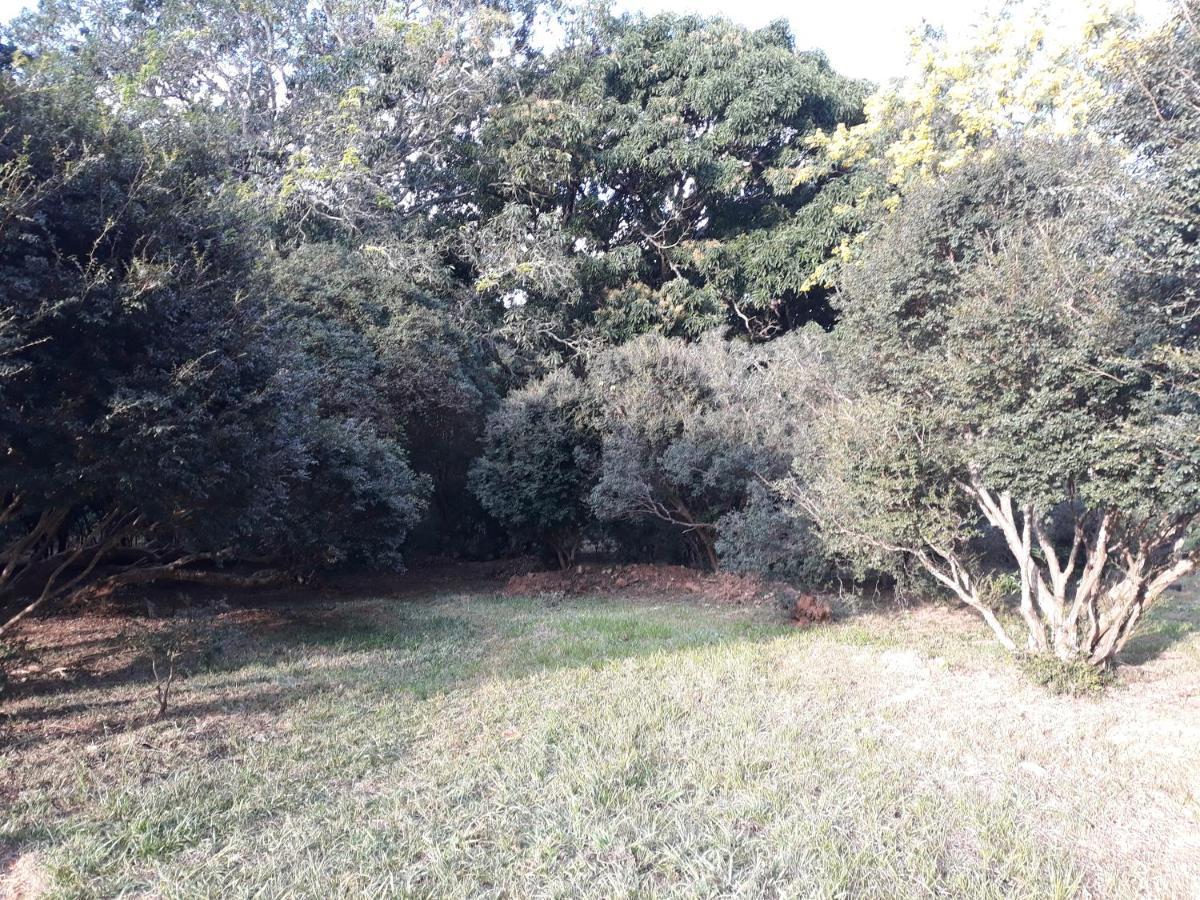 Chale Veredas E Buritis Pirenópolis Exterior foto